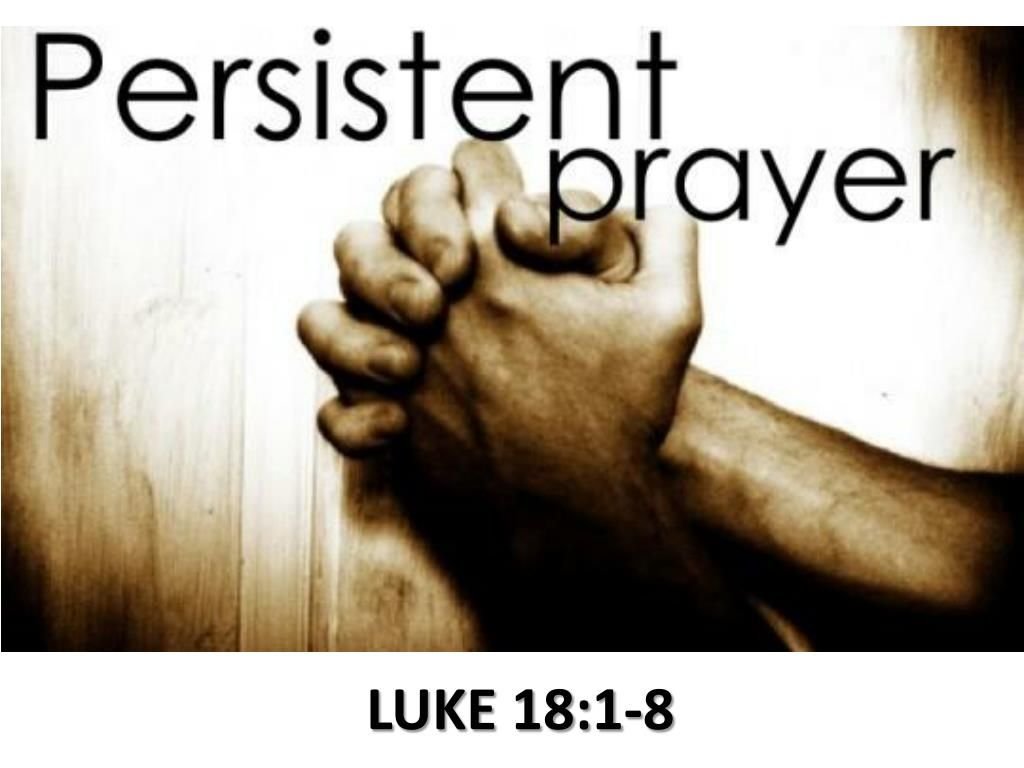 Today’s Gospel, November 14, 2020