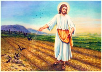 Today’s Gospel January 29, 2021